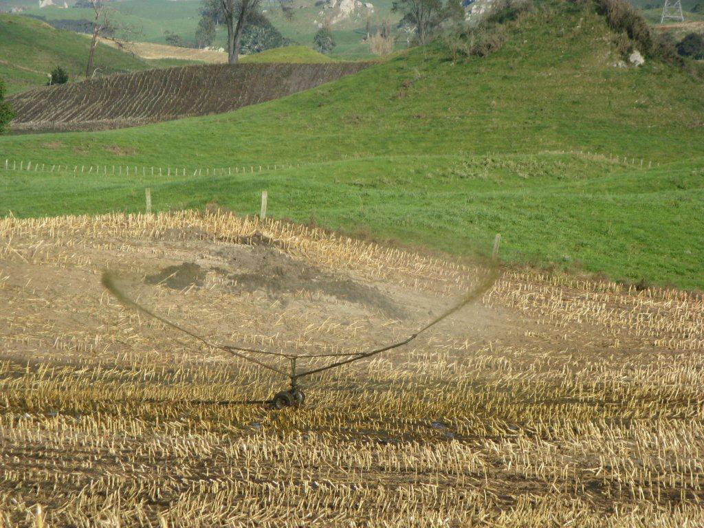 Effluent distribution