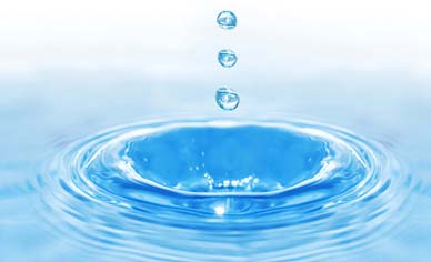 Septic Solutions Septic Solutions